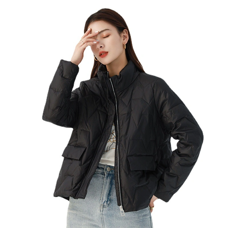 Literary Style Simple Style Women&prime; S Down Jacket Women&prime; S New Stand-up Collar Fashion Pure Color White Duck Down Warm Bread Wear Tide